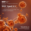 VEGF Inducer GS4012: Enhancing VEGF Expression for Comprehensive Research