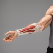 Premium Realistic Adult Injection Arm Trainer for Enhanced Clinical Training