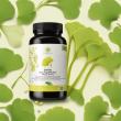 High-Quality Pharmaceutical-Grade Ginkgo Biloba Extract Powder | Natural Health Booster