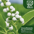 Uniconazole: High-Quality Pharmaceutical-Grade Compound for Global Industries