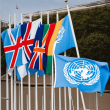 High-Quality, Weather-Resistant Outdoor United Nations Flag (150x225cm) - Durable & Vibrant UN Flag