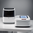 Precise and Accurate Real-Time PCR Analysis with Thermo Fisher Scientific's QuantStudio 5 System