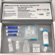 SARS-CoV-2 RT-PCR Detection Kit – Accurate & Rapid COVID-19 Testing Solution