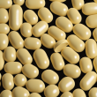 Enrofloxacin 10% Microcapsule: Exceptional Broad-Spectrum Bactericidal Agent