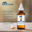 Doxycycline Hyclate Veterinary Oral Solution - Quality Treatment for Animal Infections