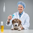 Doxycycline Injection for Veterinary Use: High-Quality Solution for Bacterial Infections in Animals