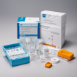 HPV E7 Test Kit - High-Accuracy Cervical Cancer Biomarker Detection