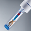 Anti-Fatty Acid Synthase (FASN) Antibody (Rabbit) - Reliable Detection Tool