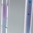 Highly Efficient THRAP4/MED24 Antibody for Western Blotting and ELISA Applications