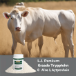 Premium Grade L-Tryptophan 98% - High-quality Feed Supplement for Optimal Animal Health