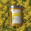 Mimosa Extract: Pure, Potent Powder for Heat Clearing & Anti-Inflammation