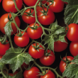 Premium Quality Pharmaceutical Grade Tomato Extract from China - Rich in Lycopene