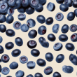 Premium European Bilberry Extract - Pharmaceutical Grade Health Enhancer