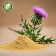 High-Quality Milk Thistle Extract Powder | Enhanced Liver Health | Natural Hepatoprotective Supplement