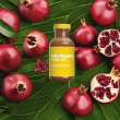 Pomegranate Plant Extract – Rich Ellagic Acid Source for Enhanced Health & Wellness
