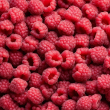 Top-Quality IQF Raspberry for Culinary Excellence | 100% Natural