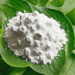 Top Quality Andrographolide from Andrographis Paniculata Extract - CAS 5508-58-7