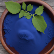 Indigoidine | The Natural Blue Dye for Eco-Friendly Industries