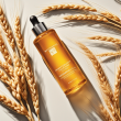 Buy High-Quality Wheat Germ Oil - Packed with Nutrients, Excellent for Health & Skincare