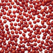 Lycopene Beadlet - All-Natural Tomato Extract with Superior Antioxidant Properties