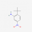 2-(tert-Butyl)-5-nitroaniline - 10g