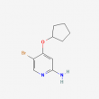 5-Bromo-4-(cyclopentyloxy)pyridin-2-amine - 100mg