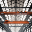 High-Efficiency Light Girder Suspension Crane with Flexible Design Options for Workshops