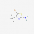 2-Amino-5-bromo-4-t-butylthiazole - 10g