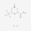 6-(Trifluoromethyl)morpholine-2-carboxylic acid hydrochloride - 5mg