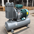 ZJP300C Roots Vacuum Pump: A High-Efficiency Vacuum System for Diverse Industries