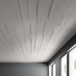 Ceiling Profile 1 - Blend of Durability & Modern Aesthetic Appeal