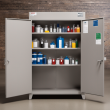 Explosion-Proof Reagent Cabinet: Ultimate Safety Storage for Hazardous Materials