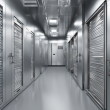 Viessmann Walk-In Mono Block Freezer Room: The Ultimate Cold Storage for Vaccines
