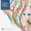 Comprehensive Guide to Understanding the Nervous System: Functions and Components